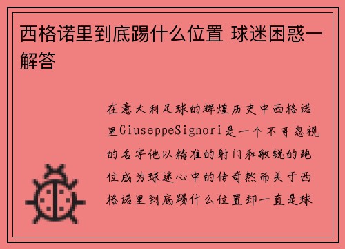西格诺里到底踢什么位置 球迷困惑一解答