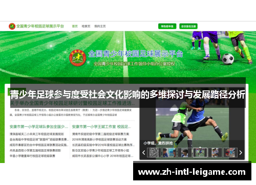 青少年足球参与度受社会文化影响的多维探讨与发展路径分析